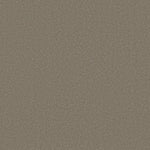 Load image into Gallery viewer, Shaw Awaken Spirit II 15' — Bungalow 00110 carpet
