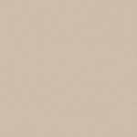 Load image into Gallery viewer, Shaw Awaken Spirit II 15' — Cottage 00111 carpet
