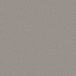 Load image into Gallery viewer, Shaw Awaken Spirit II 15' — Subtle Touch 00118 carpet
