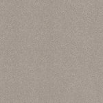Load image into Gallery viewer, Shaw Comforting I - Anonymous (00148) - 5E749-00148

