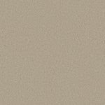 Load image into Gallery viewer, Shaw Comforting Ii - Chamois (00147) - 5E750-00147
