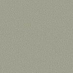 Load image into Gallery viewer, Shaw Comforting Ii - Sage Brush (00340) - 5E750-00340
