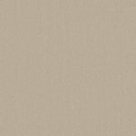 Load image into Gallery viewer, Shaw Austin Park — Sentimental 00103 carpet
