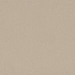 Load image into Gallery viewer, Shaw Austin Park — Better Beige 00150 carpet
