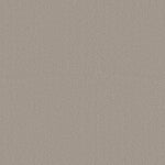 Load image into Gallery viewer, Shaw Austin Park — Studio Taupe 00173 carpet
