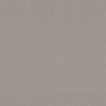Load image into Gallery viewer, Shaw Austin Park — Quiet Moment 00175 carpet
