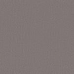 Load image into Gallery viewer, Shaw Austin Park — Rustic Vibe 00752 carpet

