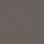 Load image into Gallery viewer, Shaw Austin Park — Midtown 00753 carpet
