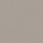 Load image into Gallery viewer, Abilene I Shaw nylon carpet
