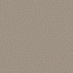 Load image into Gallery viewer, Shaw Abilene I — Horizon 00172 carpet
