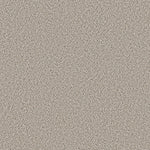 Load image into Gallery viewer, Shaw Abilene I — Swiss Coffee 00173 carpet
