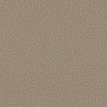 Load image into Gallery viewer, Shaw Abilene I — Sand Castle 00174 carpet
