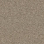 Load image into Gallery viewer, Shaw Abilene I — Twine 00175 carpet

