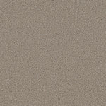 Load image into Gallery viewer, Shaw Abilene I — Acreage 00176 carpet
