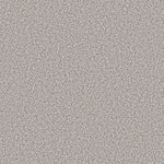Load image into Gallery viewer, Shaw Abilene I — Whitewash 00177 carpet
