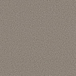 Load image into Gallery viewer, Shaw Abilene I — Pencil Sketch 00570 carpet
