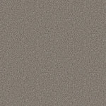 Load image into Gallery viewer, Shaw Abilene I — Powerful 00573 carpet
