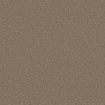 Load image into Gallery viewer, Shaw Abilene I — Arrowhead 00770 carpet
