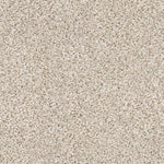 Load image into Gallery viewer, Abilene Ii Shaw nylon carpet
