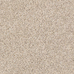 Load image into Gallery viewer, Shaw Abilene II — Horizon 00172 carpet
