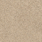 Load image into Gallery viewer, Shaw Abilene II — Sand Castle 00174 carpet
