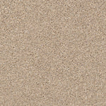 Load image into Gallery viewer, Shaw Abilene II — Twine 00175 carpet
