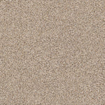 Load image into Gallery viewer, Shaw Abilene II — Acreage 00176 carpet
