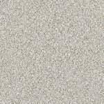Load image into Gallery viewer, Shaw Abilene II — Whitewash 00177 carpet
