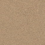 Load image into Gallery viewer, Shaw Abilene II — Bridle Leather 00270 carpet
