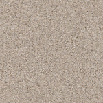 Load image into Gallery viewer, Shaw Abilene II — Pencil Sketch 00570 carpet
