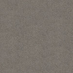 Load image into Gallery viewer, Shaw Abilene II — Powerful 00573 carpet
