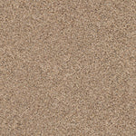 Load image into Gallery viewer, Shaw Abilene II — Arrowhead 00770 carpet
