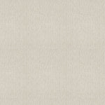 Load image into Gallery viewer, Cedar City Shaw nylon carpet
