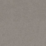 Load image into Gallery viewer, Shaw Sierra Vista - Antique Gray (00551) - 5E824-00551
