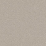Load image into Gallery viewer, Del Rio Ii Shaw nylon carpet
