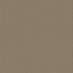 Load image into Gallery viewer, Shaw San Antonio - Latte (00724) - 5E829-00724
