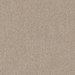 Load image into Gallery viewer, Canyon Lake Shaw nylon carpet
