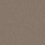 Load image into Gallery viewer, Shaw Canyon Lake - Mesa Taupe (0154B) - 5E830-0154B
