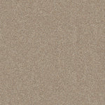 Load image into Gallery viewer, Shaw Canyon Lake - Calm Ivory (0172B) - 5E830-0172B
