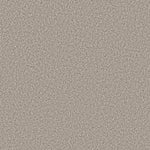 Load image into Gallery viewer, Prescott Valley Shaw nylon carpet
