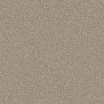 Load image into Gallery viewer, Shaw Prescott Valley - Spun Cotton (00172) - 5E831-00172
