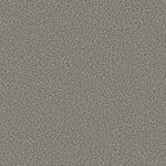 Load image into Gallery viewer, Shaw Prescott Valley - Chelsea Fog (00544) - 5E831-00544
