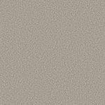 Load image into Gallery viewer, Shaw Prescott Valley - Platinum (00552) - 5E831-00552

