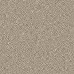 Load image into Gallery viewer, Shaw Prescott Valley - Meditation (00712) - 5E831-00712
