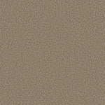 Load image into Gallery viewer, Shaw Prescott Valley - Roasted (00714) - 5E831-00714
