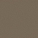 Load image into Gallery viewer, Shaw Prescott Valley - Joshua Tree (00716) - 5E831-00716
