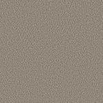 Load image into Gallery viewer, Shaw Prescott Valley - Pashmina (00754) - 5E831-00754
