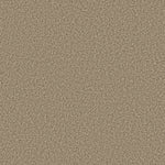 Load image into Gallery viewer, Shaw Prescott Valley - Nutshell (00764) - 5E831-00764

