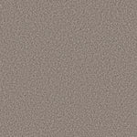 Load image into Gallery viewer, Shaw Prescott Valley - Chic Taupe (00775) - 5E831-00775
