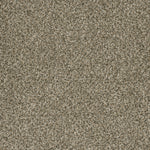 Load image into Gallery viewer, Brazen I DreamWeaver carpet
